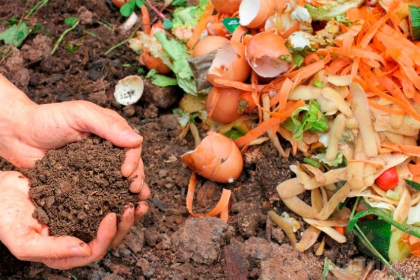 Compost pit con le proprie mani: opzioni per la produzione e il design