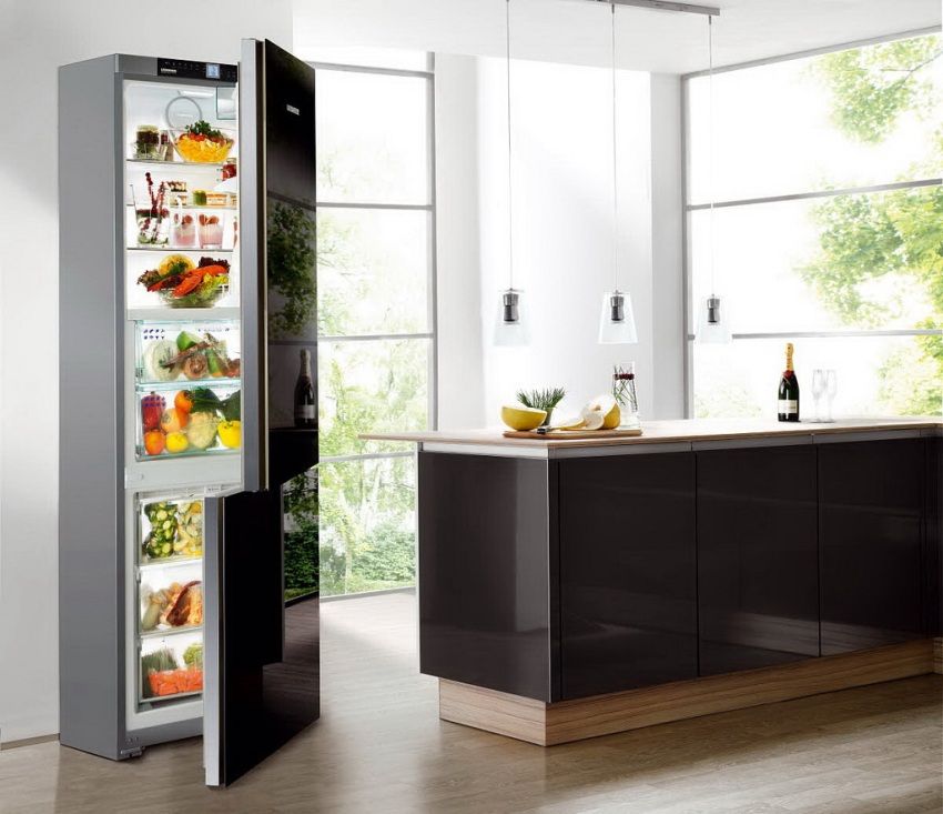 Valutazione del frigorifero: revisione dei migliori modelli e suggerimenti per la scelta