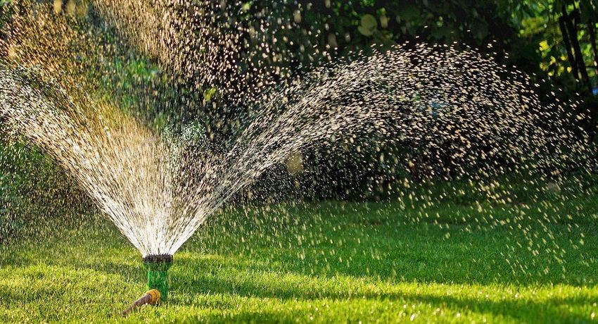 Sistema di irrigazione nel paese: una varietà di opzioni per l'irrigazione delle piante