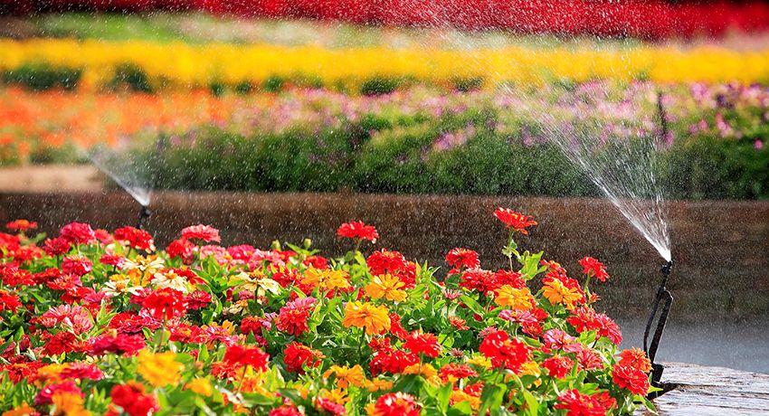 Irrigatore per irrigazione: creazione di un microclima favorevole per le piante