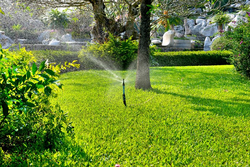 Irrigatore per irrigazione: creazione di un microclima favorevole per le piante