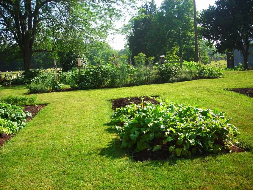 Giardini per i più pigri: foto e consigli per la creazione di un giardino