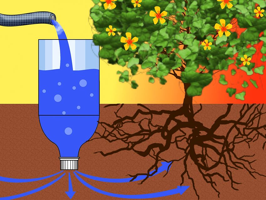 Irrigazione a goccia fai-da-te per dare senza costi: fai da te facilmente e semplicemente
