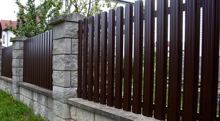 Belle recinzioni per case private: foto di siepi interessanti