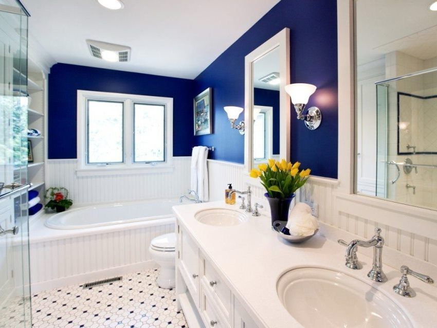 Pittura per il bagno: come scegliere l'opzione migliore per la decorazione della parete