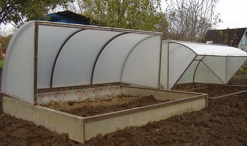 Greenhouse Breadbasket: design funzionale per la coltivazione di verdure