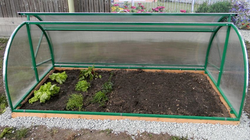 Greenhouse Breadbasket: design funzionale per la coltivazione di verdure