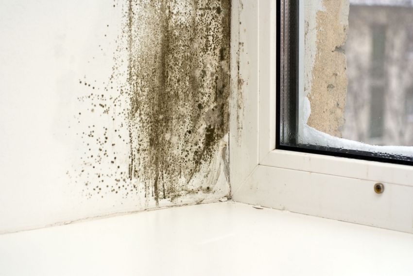 Perché le finestre di plastica nell'appartamento sudano dall'interno: cause e la loro eliminazione