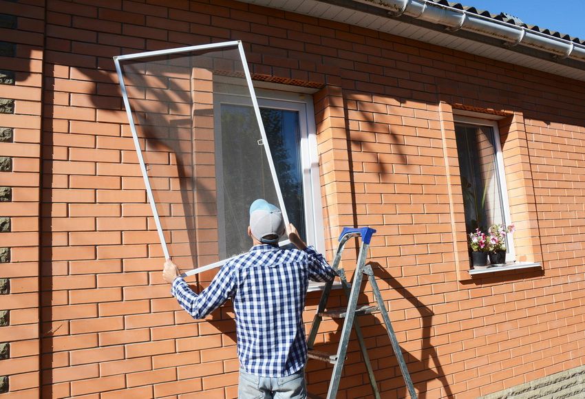 Zanzariere alle finestre: una barriera affidabile da insetti, polvere e piumino