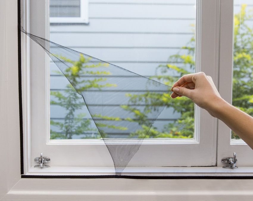 Zanzariere alle finestre: una barriera affidabile da insetti, polvere e piumino