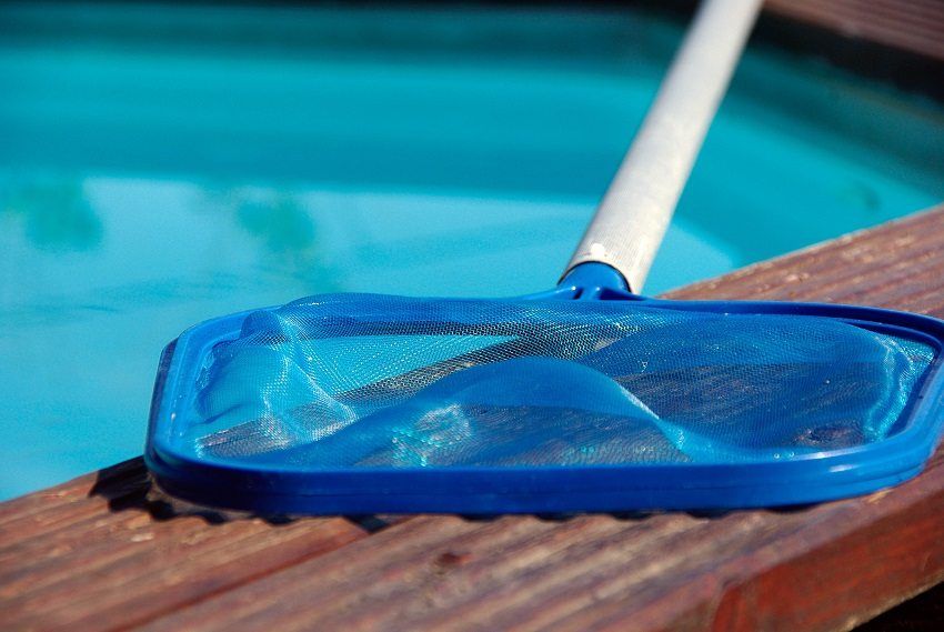 Compresse per la piscina per la disinfezione dell'acqua: cura adeguata del laghetto